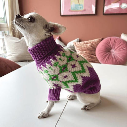 Chihuahua Dog Sweater Knitting Pattern PDF - Cute Carved Pumpkin Ideas for Fall & Halloween