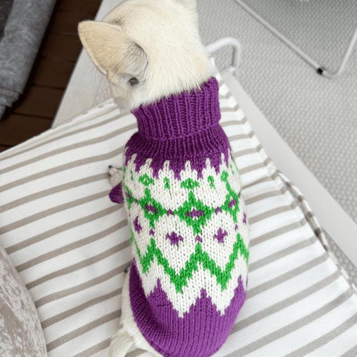 Chihuahua Dog Sweater Knitting Pattern PDF - Cute Carved Pumpkin Ideas for Fall & Halloween